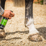 CDM Stain Master Spray - Horse Stain Remover for Show-Ready Coats