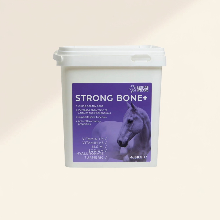 Strong Bone + - Horseuae