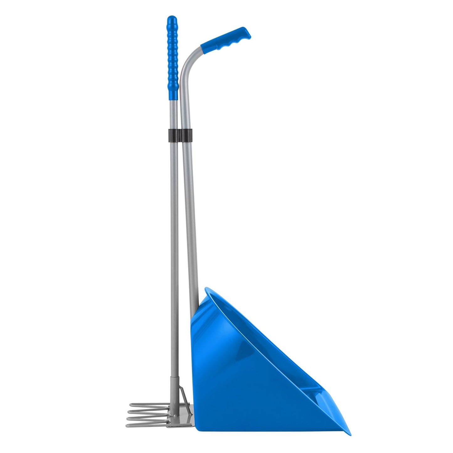 Red Gorilla Tidee Stable mate With Scoop