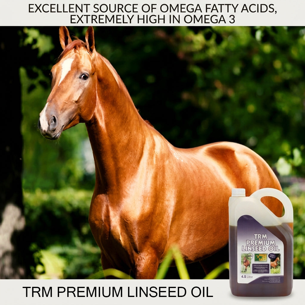 TRM Premium Linseed Oil TRM