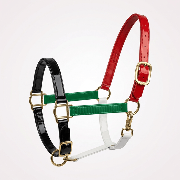 XYLO UAE Flagged Halter (Head Collar) Xylo
