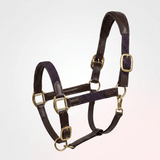 Xylo Softy Leather Web Halter Xylo