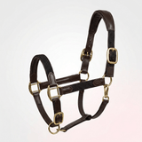 Xylo Softy Leather Web Halter Xylo