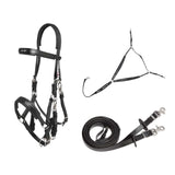 Zilco Endurance Bridle Set - Horseuae
