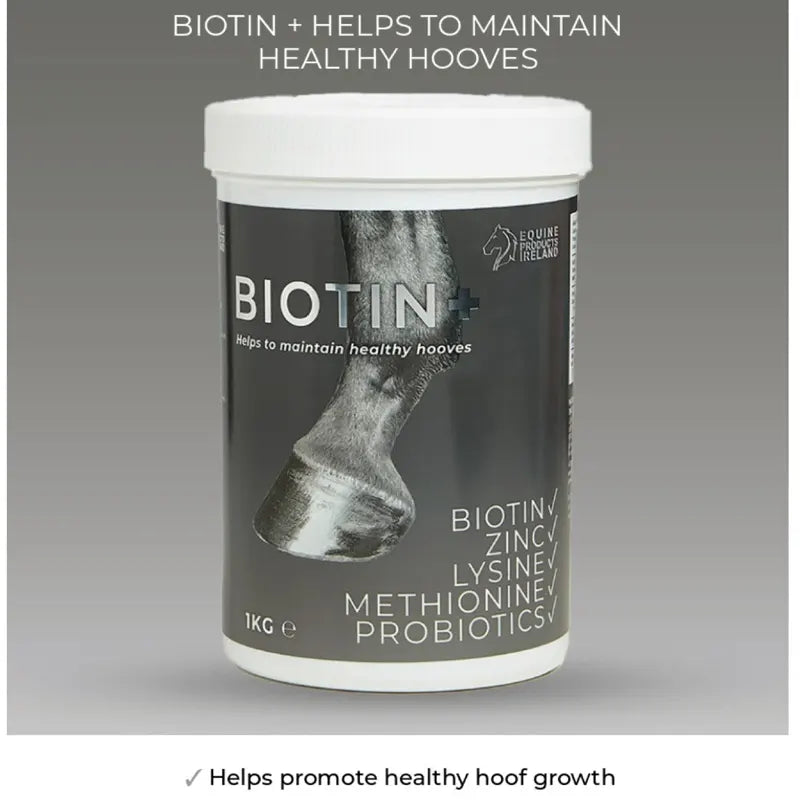 Biotin +