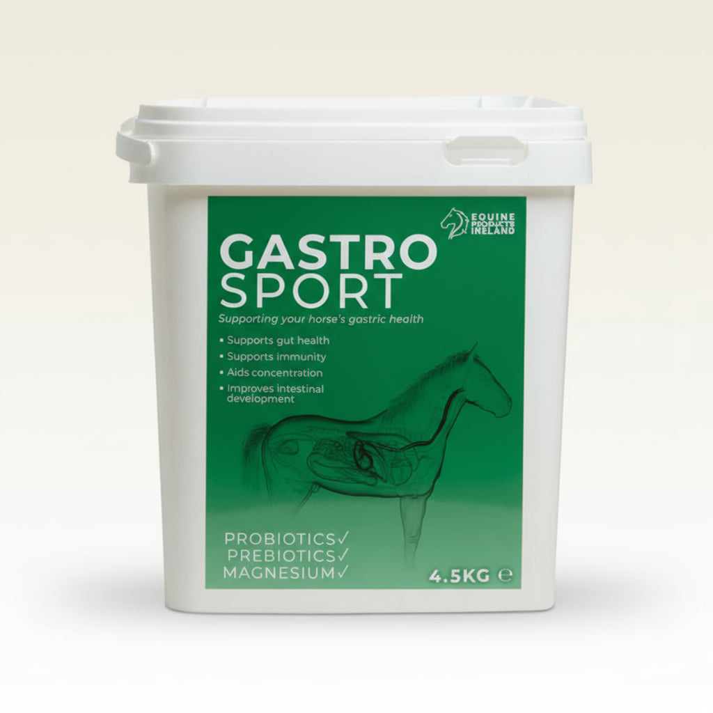 Gastro Sport