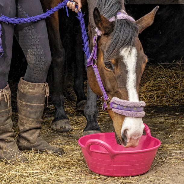 Red Gorilla Plas Feed Skip 11 Ltr