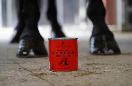 Carr & Day & Martin Stockholm Hoof Tar