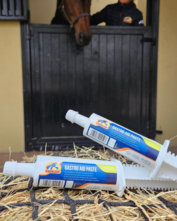 Equine Syringe Dose Supplements