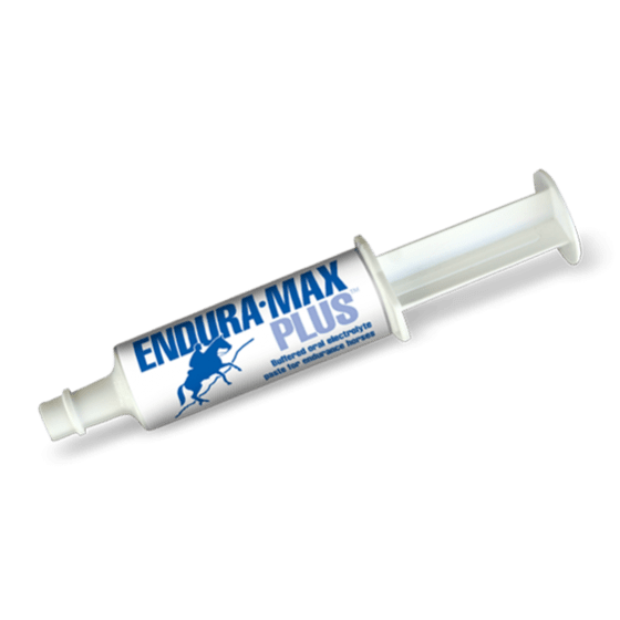 Kentucky Performance Enduramax Plus Paste - Horseuae