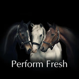 Majesticq Perfumed Mist 1L