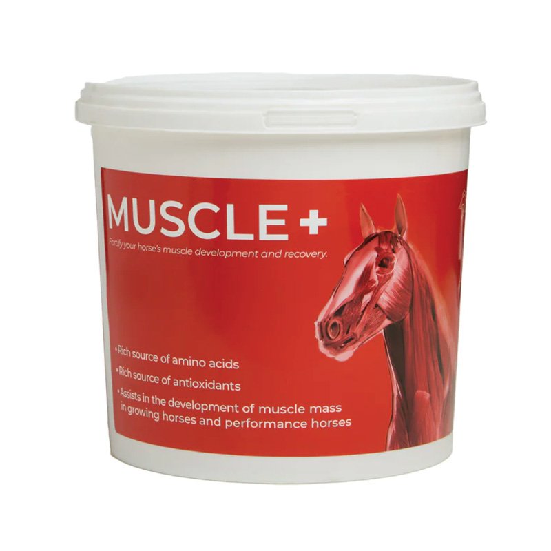 Muscle + (4 KG)