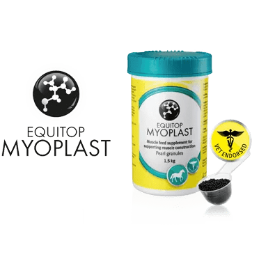 Equitop Myoplast