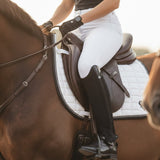 Seafowl Neoprene Riding Chaps Seafowl