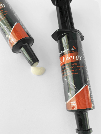 Lillidale Animal Health Pro Energy Paste