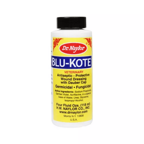 Dr Naylor BLU KOTE