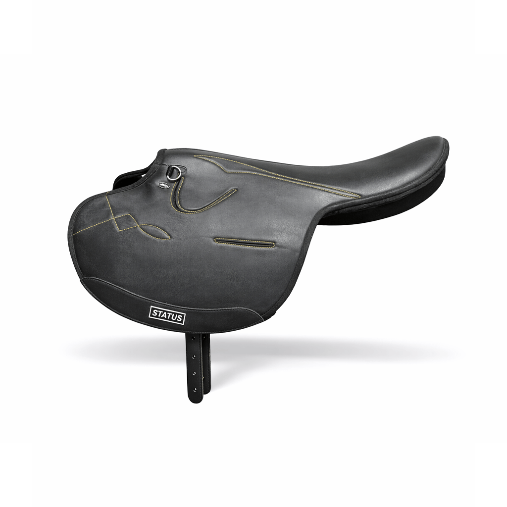 Status Exercise Saddle Status
