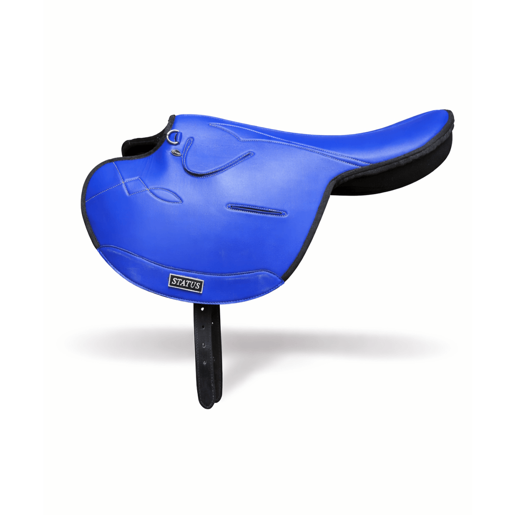 Status Exercise Saddle Status