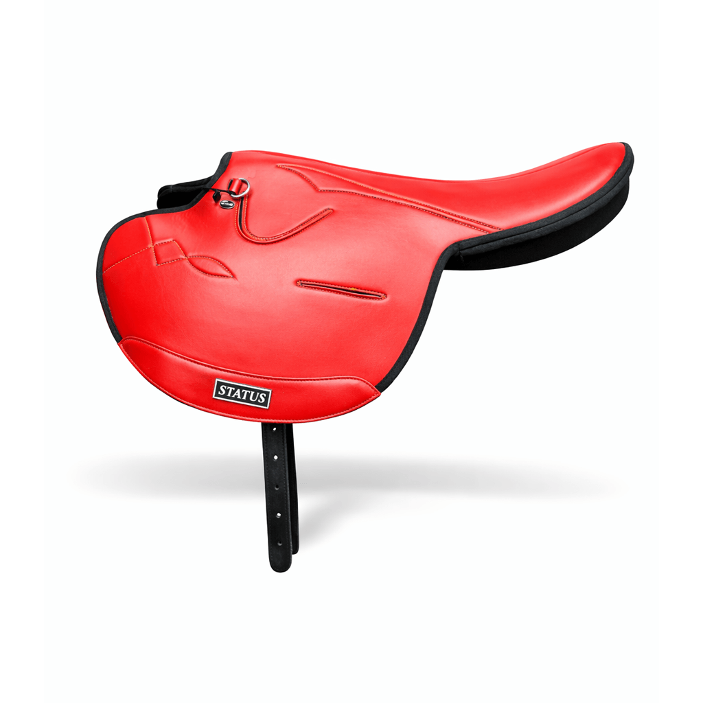 Status Exercise Saddle Status