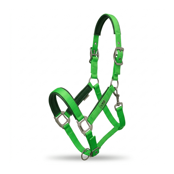 Xylo Biothene Halter – Adjustable, Durable & Easy-Care Horse Headcollar Xylo
