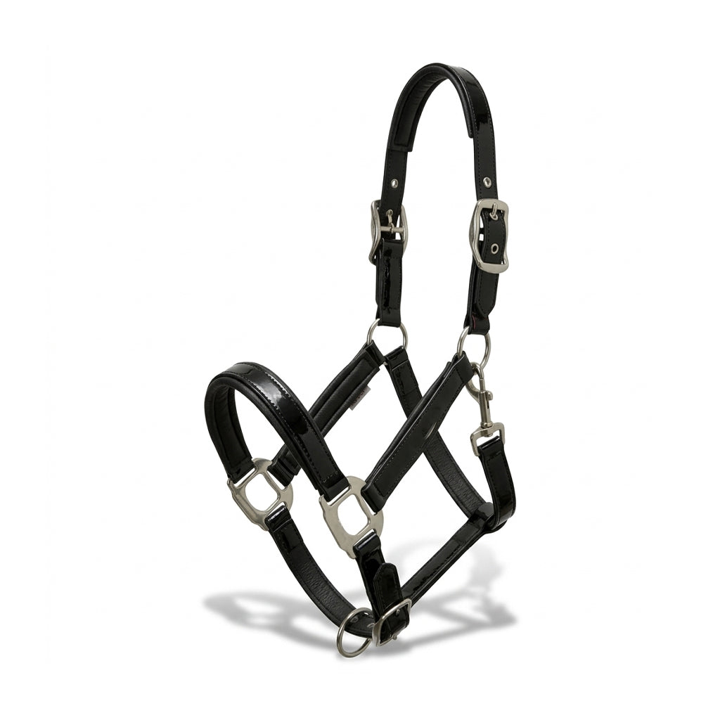 Xylo Biothene Halter – Durable & Easy-Care Horse Headcollar Xylo