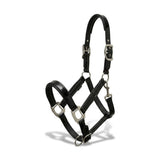 Xylo Biothene Halter – Durable & Easy-Care Horse Headcollar Xylo