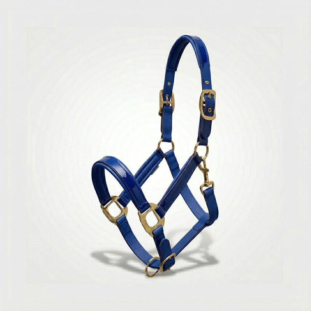 Xylo Biothene Halter – Durable & Easy-Care Horse Headcollar Xylo