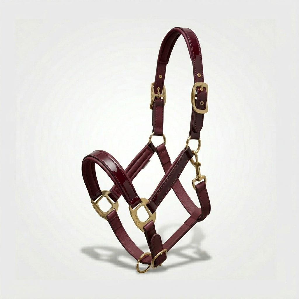 Xylo Biothene Halter – Durable & Easy-Care Horse Headcollar Xylo