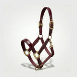 Xylo Biothene Halter – Durable & Easy-Care Horse Headcollar Xylo