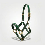 Xylo Biothene Halter – Durable & Easy-Care Horse Headcollar Xylo