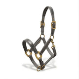 Xylo Biothene Halter – Durable & Easy-Care Horse Headcollar Xylo