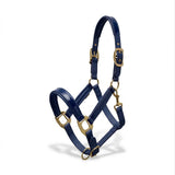 Xylo Biothene Halter – Durable & Easy-Care Horse Headcollar Xylo