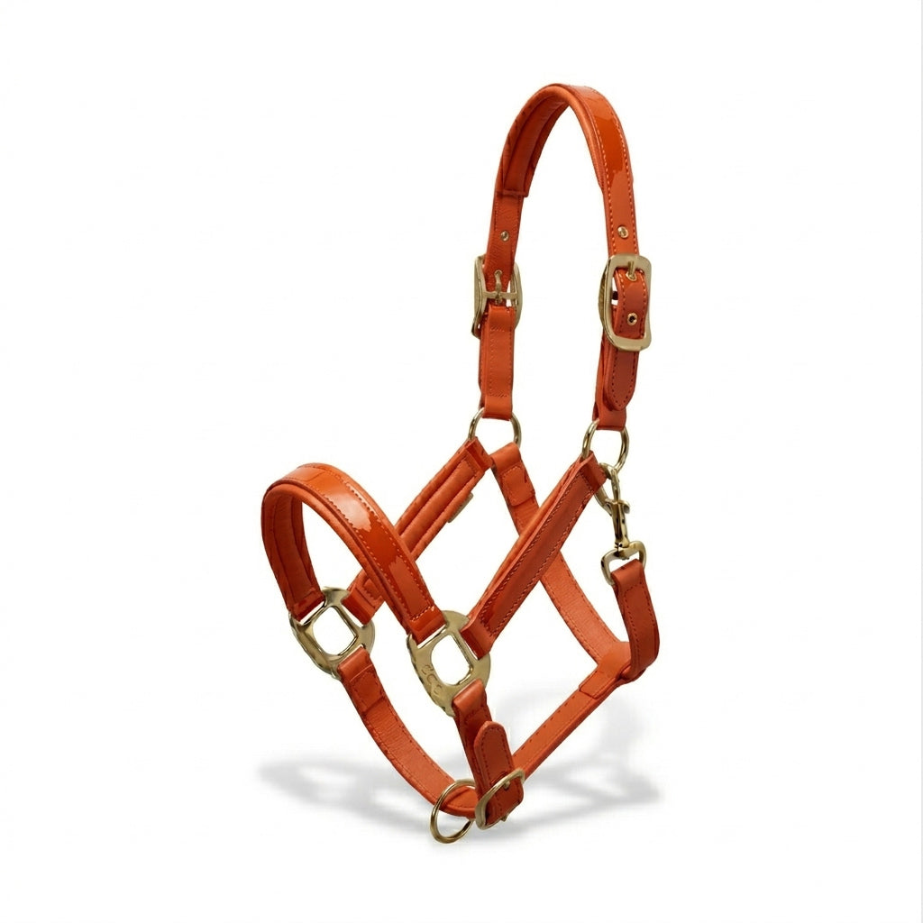 Xylo Biothene Halter – Durable & Easy-Care Horse Headcollar Xylo