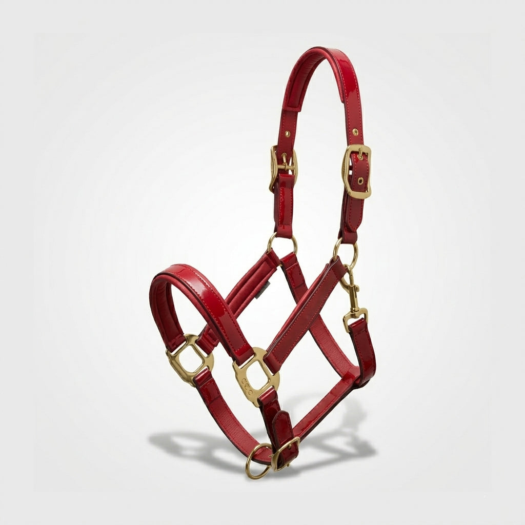 Xylo Biothene Halter – Durable & Easy-Care Horse Headcollar Xylo