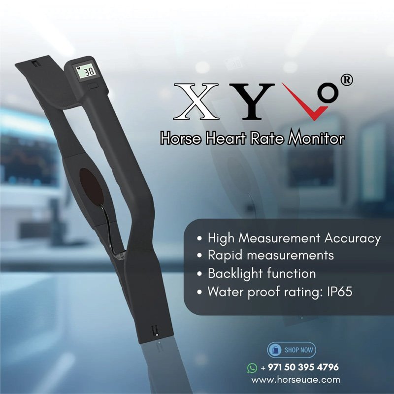 Horse Heart Rate Monitor – XYLO®