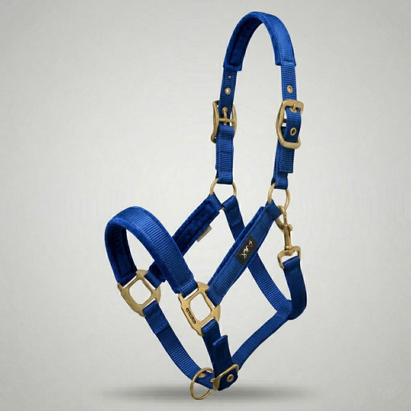 Xylo Nylon Horse Halter Xylo