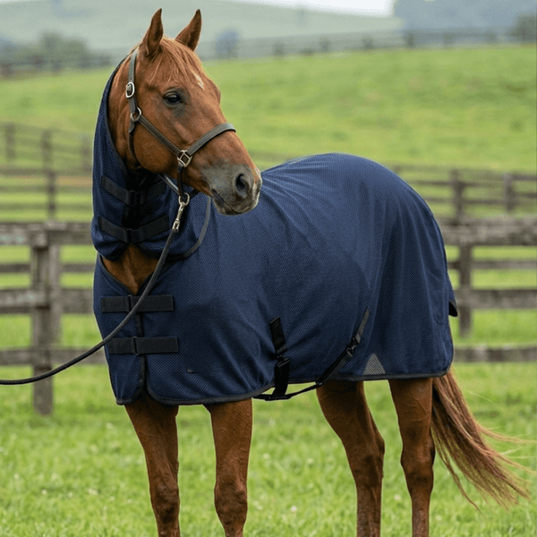 FLY PROTECTION