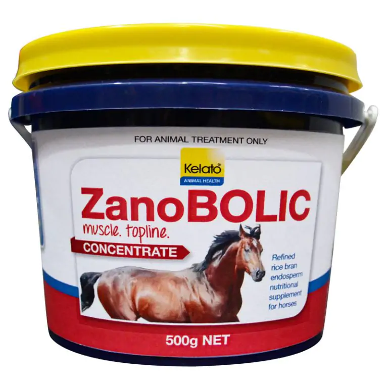 Kelato ZanoBolic