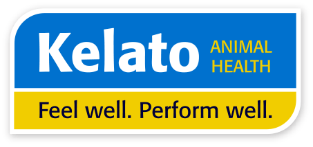 Kelato logo – Premium brand offering effective equine health supplements and care products to support performance and wellbeing