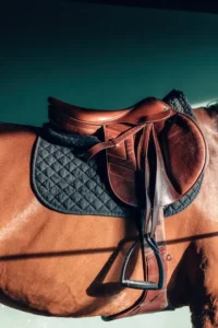 Wide range of horse riding equipment and accessories showcased at Tack & Track