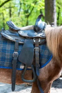 Wide range of horse riding equipment and accessories showcased at Tack & Track