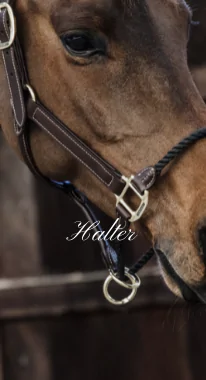 Halter