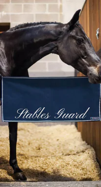 Stables Guard