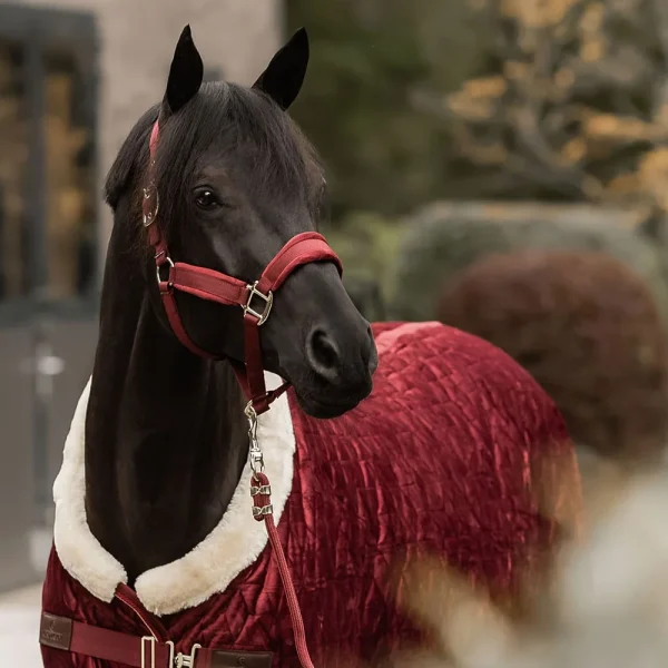 Holiday-inspired equestrian products, perfect for gifting this Christmas season