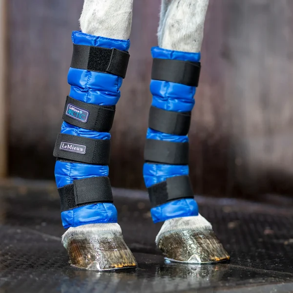 Cooling wraps for horses – designed for effective relief and recovery after intense activity.