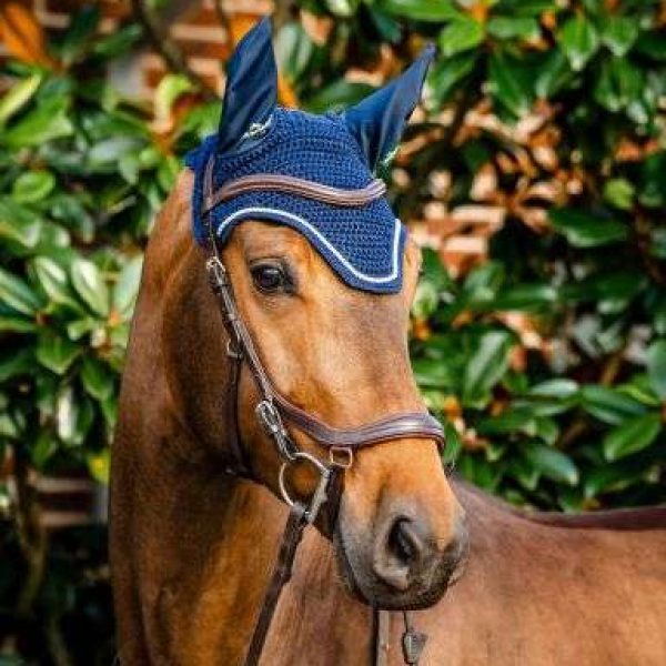 Protective ear nets for horses – reduces noise and keeps insects away during rides.