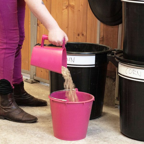 Efficient feeding and watering equipment for horses, designed for stable use