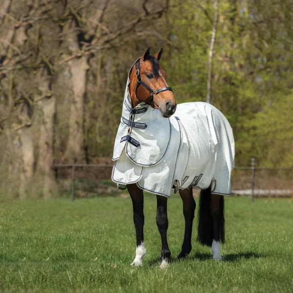 Premium horse accessories including saddles, bridles, halters, and grooming tools for optimal comfort and performance